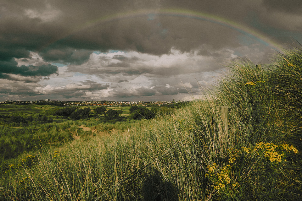 Countryside